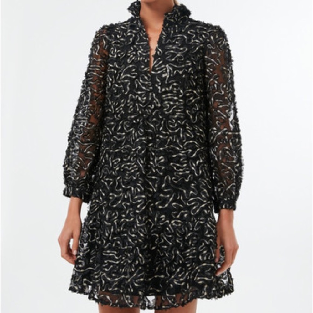 Tuckernuck Nightly Organza Palmerston dress